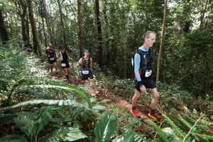 BIB: 1340
                            <button type="button" onclick="openModal(22547513)" class="btn btn-primary btn-sm float-right btn-popup" data-toggle="modal" data-target=".modal-high-quality">
                        <i class="fas fa-shopping-cart"></i> Add to Cart
                    </button>
                                            <button type="button" onclick="isThisMe(22547513, true)" class="btn btn-success btn-sm float-right btn-popup btn-isme hidden" data-toggle="tooltip" data-placement="bottom" title="นี่คือรูปของคุณใช่ไหม คลิกที่นี่เพื่อเอาเข้าอัลบั้ม">
                        <i class="fas fa-plus"></i> Add to album
                    </button>
                    <button type="button" onclick="isThisMe(22547513, false)" class="btn btn-warning btn-sm float-right btn-popup btn-isnotme hidden">
                        <i class="fas fa-ban"></i> Remove from album
                    </button>