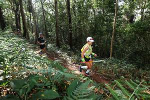 BIB: 
                            <button type="button" onclick="openModal(22546499)" class="btn btn-primary btn-sm float-right btn-popup" data-toggle="modal" data-target=".modal-high-quality">
                        <i class="fas fa-shopping-cart"></i> Add to Cart
                    </button>
                                            <button type="button" onclick="isThisMe(22546499, true)" class="btn btn-success btn-sm float-right btn-popup btn-isme hidden" data-toggle="tooltip" data-placement="bottom" title="นี่คือรูปของคุณใช่ไหม คลิกที่นี่เพื่อเอาเข้าอัลบั้ม">
                        <i class="fas fa-plus"></i> Add to album
                    </button>
                    <button type="button" onclick="isThisMe(22546499, false)" class="btn btn-warning btn-sm float-right btn-popup btn-isnotme hidden">
                        <i class="fas fa-ban"></i> Remove from album
                    </button>