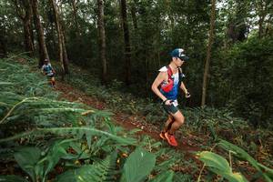 BIB: 
                            <button type="button" onclick="openModal(22533893)" class="btn btn-primary btn-sm float-right btn-popup" data-toggle="modal" data-target=".modal-high-quality">
                        <i class="fas fa-shopping-cart"></i> Add to Cart
                    </button>
                                            <button type="button" onclick="isThisMe(22533893, true)" class="btn btn-success btn-sm float-right btn-popup btn-isme hidden" data-toggle="tooltip" data-placement="bottom" title="นี่คือรูปของคุณใช่ไหม คลิกที่นี่เพื่อเอาเข้าอัลบั้ม">
                        <i class="fas fa-plus"></i> Add to album
                    </button>
                    <button type="button" onclick="isThisMe(22533893, false)" class="btn btn-warning btn-sm float-right btn-popup btn-isnotme hidden">
                        <i class="fas fa-ban"></i> Remove from album
                    </button>