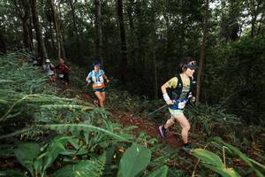 BIB: 
                            <button type="button" onclick="openModal(22538063)" class="btn btn-primary btn-sm float-right btn-popup" data-toggle="modal" data-target=".modal-high-quality">
                        <i class="fas fa-shopping-cart"></i> Add to Cart
                    </button>
                                            <button type="button" onclick="isThisMe(22538063, true)" class="btn btn-success btn-sm float-right btn-popup btn-isme hidden" data-toggle="tooltip" data-placement="bottom" title="นี่คือรูปของคุณใช่ไหม คลิกที่นี่เพื่อเอาเข้าอัลบั้ม">
                        <i class="fas fa-plus"></i> Add to album
                    </button>
                    <button type="button" onclick="isThisMe(22538063, false)" class="btn btn-warning btn-sm float-right btn-popup btn-isnotme hidden">
                        <i class="fas fa-ban"></i> Remove from album
                    </button>