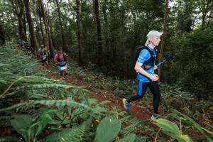 BIB: 
                            <button type="button" onclick="openModal(22537171)" class="btn btn-primary btn-sm float-right btn-popup" data-toggle="modal" data-target=".modal-high-quality">
                        <i class="fas fa-shopping-cart"></i> Add to Cart
                    </button>
                                            <button type="button" onclick="isThisMe(22537171, true)" class="btn btn-success btn-sm float-right btn-popup btn-isme hidden" data-toggle="tooltip" data-placement="bottom" title="นี่คือรูปของคุณใช่ไหม คลิกที่นี่เพื่อเอาเข้าอัลบั้ม">
                        <i class="fas fa-plus"></i> Add to album
                    </button>
                    <button type="button" onclick="isThisMe(22537171, false)" class="btn btn-warning btn-sm float-right btn-popup btn-isnotme hidden">
                        <i class="fas fa-ban"></i> Remove from album
                    </button>