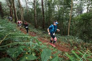 BIB: 
                            <button type="button" onclick="openModal(22572049)" class="btn btn-primary btn-sm float-right btn-popup" data-toggle="modal" data-target=".modal-high-quality">
                        <i class="fas fa-shopping-cart"></i> Add to Cart
                    </button>
                                            <button type="button" onclick="isThisMe(22572049, true)" class="btn btn-success btn-sm float-right btn-popup btn-isme hidden" data-toggle="tooltip" data-placement="bottom" title="นี่คือรูปของคุณใช่ไหม คลิกที่นี่เพื่อเอาเข้าอัลบั้ม">
                        <i class="fas fa-plus"></i> Add to album
                    </button>
                    <button type="button" onclick="isThisMe(22572049, false)" class="btn btn-warning btn-sm float-right btn-popup btn-isnotme hidden">
                        <i class="fas fa-ban"></i> Remove from album
                    </button>