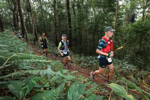 BIB: 
                            <button type="button" onclick="openModal(22543032)" class="btn btn-primary btn-sm float-right btn-popup" data-toggle="modal" data-target=".modal-high-quality">
                        <i class="fas fa-shopping-cart"></i> Add to Cart
                    </button>
                                            <button type="button" onclick="isThisMe(22543032, true)" class="btn btn-success btn-sm float-right btn-popup btn-isme hidden" data-toggle="tooltip" data-placement="bottom" title="นี่คือรูปของคุณใช่ไหม คลิกที่นี่เพื่อเอาเข้าอัลบั้ม">
                        <i class="fas fa-plus"></i> Add to album
                    </button>
                    <button type="button" onclick="isThisMe(22543032, false)" class="btn btn-warning btn-sm float-right btn-popup btn-isnotme hidden">
                        <i class="fas fa-ban"></i> Remove from album
                    </button>