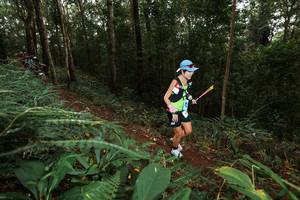 BIB: 
                            <button type="button" onclick="openModal(22533268)" class="btn btn-primary btn-sm float-right btn-popup" data-toggle="modal" data-target=".modal-high-quality">
                        <i class="fas fa-shopping-cart"></i> Add to Cart
                    </button>
                                            <button type="button" onclick="isThisMe(22533268, true)" class="btn btn-success btn-sm float-right btn-popup btn-isme hidden" data-toggle="tooltip" data-placement="bottom" title="นี่คือรูปของคุณใช่ไหม คลิกที่นี่เพื่อเอาเข้าอัลบั้ม">
                        <i class="fas fa-plus"></i> Add to album
                    </button>
                    <button type="button" onclick="isThisMe(22533268, false)" class="btn btn-warning btn-sm float-right btn-popup btn-isnotme hidden">
                        <i class="fas fa-ban"></i> Remove from album
                    </button>