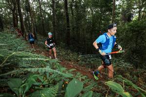 BIB: 
                            <button type="button" onclick="openModal(22536242)" class="btn btn-primary btn-sm float-right btn-popup" data-toggle="modal" data-target=".modal-high-quality">
                        <i class="fas fa-shopping-cart"></i> Add to Cart
                    </button>
                                            <button type="button" onclick="isThisMe(22536242, true)" class="btn btn-success btn-sm float-right btn-popup btn-isme hidden" data-toggle="tooltip" data-placement="bottom" title="นี่คือรูปของคุณใช่ไหม คลิกที่นี่เพื่อเอาเข้าอัลบั้ม">
                        <i class="fas fa-plus"></i> Add to album
                    </button>
                    <button type="button" onclick="isThisMe(22536242, false)" class="btn btn-warning btn-sm float-right btn-popup btn-isnotme hidden">
                        <i class="fas fa-ban"></i> Remove from album
                    </button>