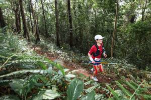 BIB: 
                            <button type="button" onclick="openModal(22564040)" class="btn btn-primary btn-sm float-right btn-popup" data-toggle="modal" data-target=".modal-high-quality">
                        <i class="fas fa-shopping-cart"></i> Add to Cart
                    </button>
                                            <button type="button" onclick="isThisMe(22564040, true)" class="btn btn-success btn-sm float-right btn-popup btn-isme hidden" data-toggle="tooltip" data-placement="bottom" title="นี่คือรูปของคุณใช่ไหม คลิกที่นี่เพื่อเอาเข้าอัลบั้ม">
                        <i class="fas fa-plus"></i> Add to album
                    </button>
                    <button type="button" onclick="isThisMe(22564040, false)" class="btn btn-warning btn-sm float-right btn-popup btn-isnotme hidden">
                        <i class="fas fa-ban"></i> Remove from album
                    </button>