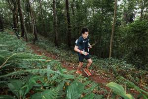 BIB: 
                            <button type="button" onclick="openModal(22542239)" class="btn btn-primary btn-sm float-right btn-popup" data-toggle="modal" data-target=".modal-high-quality">
                        <i class="fas fa-shopping-cart"></i> Add to Cart
                    </button>
                                            <button type="button" onclick="isThisMe(22542239, true)" class="btn btn-success btn-sm float-right btn-popup btn-isme hidden" data-toggle="tooltip" data-placement="bottom" title="นี่คือรูปของคุณใช่ไหม คลิกที่นี่เพื่อเอาเข้าอัลบั้ม">
                        <i class="fas fa-plus"></i> Add to album
                    </button>
                    <button type="button" onclick="isThisMe(22542239, false)" class="btn btn-warning btn-sm float-right btn-popup btn-isnotme hidden">
                        <i class="fas fa-ban"></i> Remove from album
                    </button>