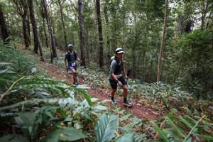 BIB: 
                            <button type="button" onclick="openModal(22567589)" class="btn btn-primary btn-sm float-right btn-popup" data-toggle="modal" data-target=".modal-high-quality">
                        <i class="fas fa-shopping-cart"></i> Add to Cart
                    </button>
                                            <button type="button" onclick="isThisMe(22567589, true)" class="btn btn-success btn-sm float-right btn-popup btn-isme hidden" data-toggle="tooltip" data-placement="bottom" title="นี่คือรูปของคุณใช่ไหม คลิกที่นี่เพื่อเอาเข้าอัลบั้ม">
                        <i class="fas fa-plus"></i> Add to album
                    </button>
                    <button type="button" onclick="isThisMe(22567589, false)" class="btn btn-warning btn-sm float-right btn-popup btn-isnotme hidden">
                        <i class="fas fa-ban"></i> Remove from album
                    </button>