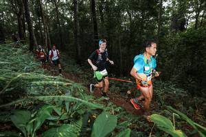 BIB: 37641
                            <button type="button" onclick="openModal(22537992)" class="btn btn-primary btn-sm float-right btn-popup" data-toggle="modal" data-target=".modal-high-quality">
                        <i class="fas fa-shopping-cart"></i> Add to Cart
                    </button>
                                            <button type="button" onclick="isThisMe(22537992, true)" class="btn btn-success btn-sm float-right btn-popup btn-isme hidden" data-toggle="tooltip" data-placement="bottom" title="นี่คือรูปของคุณใช่ไหม คลิกที่นี่เพื่อเอาเข้าอัลบั้ม">
                        <i class="fas fa-plus"></i> Add to album
                    </button>
                    <button type="button" onclick="isThisMe(22537992, false)" class="btn btn-warning btn-sm float-right btn-popup btn-isnotme hidden">
                        <i class="fas fa-ban"></i> Remove from album
                    </button>