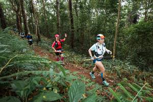 BIB: 
                            <button type="button" onclick="openModal(22568328)" class="btn btn-primary btn-sm float-right btn-popup" data-toggle="modal" data-target=".modal-high-quality">
                        <i class="fas fa-shopping-cart"></i> Add to Cart
                    </button>
                                            <button type="button" onclick="isThisMe(22568328, true)" class="btn btn-success btn-sm float-right btn-popup btn-isme hidden" data-toggle="tooltip" data-placement="bottom" title="นี่คือรูปของคุณใช่ไหม คลิกที่นี่เพื่อเอาเข้าอัลบั้ม">
                        <i class="fas fa-plus"></i> Add to album
                    </button>
                    <button type="button" onclick="isThisMe(22568328, false)" class="btn btn-warning btn-sm float-right btn-popup btn-isnotme hidden">
                        <i class="fas fa-ban"></i> Remove from album
                    </button>