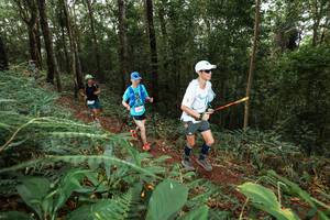 BIB: 
                            <button type="button" onclick="openModal(22538768)" class="btn btn-primary btn-sm float-right btn-popup" data-toggle="modal" data-target=".modal-high-quality">
                        <i class="fas fa-shopping-cart"></i> Add to Cart
                    </button>
                                            <button type="button" onclick="isThisMe(22538768, true)" class="btn btn-success btn-sm float-right btn-popup btn-isme hidden" data-toggle="tooltip" data-placement="bottom" title="นี่คือรูปของคุณใช่ไหม คลิกที่นี่เพื่อเอาเข้าอัลบั้ม">
                        <i class="fas fa-plus"></i> Add to album
                    </button>
                    <button type="button" onclick="isThisMe(22538768, false)" class="btn btn-warning btn-sm float-right btn-popup btn-isnotme hidden">
                        <i class="fas fa-ban"></i> Remove from album
                    </button>