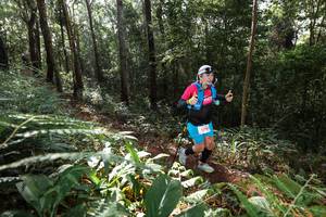 BIB: 320
                            <button type="button" onclick="openModal(22543889)" class="btn btn-primary btn-sm float-right btn-popup" data-toggle="modal" data-target=".modal-high-quality">
                        <i class="fas fa-shopping-cart"></i> Add to Cart
                    </button>
                                            <button type="button" onclick="isThisMe(22543889, true)" class="btn btn-success btn-sm float-right btn-popup btn-isme hidden" data-toggle="tooltip" data-placement="bottom" title="นี่คือรูปของคุณใช่ไหม คลิกที่นี่เพื่อเอาเข้าอัลบั้ม">
                        <i class="fas fa-plus"></i> Add to album
                    </button>
                    <button type="button" onclick="isThisMe(22543889, false)" class="btn btn-warning btn-sm float-right btn-popup btn-isnotme hidden">
                        <i class="fas fa-ban"></i> Remove from album
                    </button>