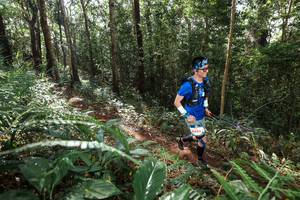 BIB: 6486
                            <button type="button" onclick="openModal(22547235)" class="btn btn-primary btn-sm float-right btn-popup" data-toggle="modal" data-target=".modal-high-quality">
                        <i class="fas fa-shopping-cart"></i> Add to Cart
                    </button>
                                            <button type="button" onclick="isThisMe(22547235, true)" class="btn btn-success btn-sm float-right btn-popup btn-isme hidden" data-toggle="tooltip" data-placement="bottom" title="นี่คือรูปของคุณใช่ไหม คลิกที่นี่เพื่อเอาเข้าอัลบั้ม">
                        <i class="fas fa-plus"></i> Add to album
                    </button>
                    <button type="button" onclick="isThisMe(22547235, false)" class="btn btn-warning btn-sm float-right btn-popup btn-isnotme hidden">
                        <i class="fas fa-ban"></i> Remove from album
                    </button>