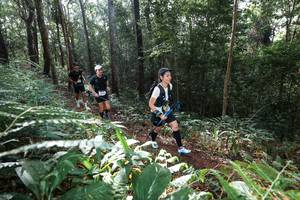 BIB: 
                            <button type="button" onclick="openModal(22543812)" class="btn btn-primary btn-sm float-right btn-popup" data-toggle="modal" data-target=".modal-high-quality">
                        <i class="fas fa-shopping-cart"></i> Add to Cart
                    </button>
                                            <button type="button" onclick="isThisMe(22543812, true)" class="btn btn-success btn-sm float-right btn-popup btn-isme hidden" data-toggle="tooltip" data-placement="bottom" title="นี่คือรูปของคุณใช่ไหม คลิกที่นี่เพื่อเอาเข้าอัลบั้ม">
                        <i class="fas fa-plus"></i> Add to album
                    </button>
                    <button type="button" onclick="isThisMe(22543812, false)" class="btn btn-warning btn-sm float-right btn-popup btn-isnotme hidden">
                        <i class="fas fa-ban"></i> Remove from album
                    </button>