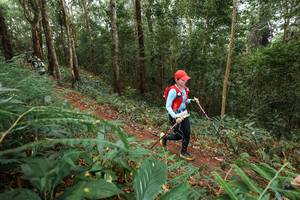 BIB: 
                            <button type="button" onclick="openModal(22570823)" class="btn btn-primary btn-sm float-right btn-popup" data-toggle="modal" data-target=".modal-high-quality">
                        <i class="fas fa-shopping-cart"></i> Add to Cart
                    </button>
                                            <button type="button" onclick="isThisMe(22570823, true)" class="btn btn-success btn-sm float-right btn-popup btn-isme hidden" data-toggle="tooltip" data-placement="bottom" title="นี่คือรูปของคุณใช่ไหม คลิกที่นี่เพื่อเอาเข้าอัลบั้ม">
                        <i class="fas fa-plus"></i> Add to album
                    </button>
                    <button type="button" onclick="isThisMe(22570823, false)" class="btn btn-warning btn-sm float-right btn-popup btn-isnotme hidden">
                        <i class="fas fa-ban"></i> Remove from album
                    </button>