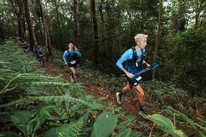 BIB: 
                            <button type="button" onclick="openModal(22533374)" class="btn btn-primary btn-sm float-right btn-popup" data-toggle="modal" data-target=".modal-high-quality">
                        <i class="fas fa-shopping-cart"></i> Add to Cart
                    </button>
                                            <button type="button" onclick="isThisMe(22533374, true)" class="btn btn-success btn-sm float-right btn-popup btn-isme hidden" data-toggle="tooltip" data-placement="bottom" title="นี่คือรูปของคุณใช่ไหม คลิกที่นี่เพื่อเอาเข้าอัลบั้ม">
                        <i class="fas fa-plus"></i> Add to album
                    </button>
                    <button type="button" onclick="isThisMe(22533374, false)" class="btn btn-warning btn-sm float-right btn-popup btn-isnotme hidden">
                        <i class="fas fa-ban"></i> Remove from album
                    </button>