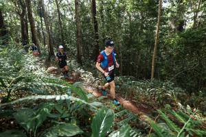 BIB: 
                            <button type="button" onclick="openModal(22547182)" class="btn btn-primary btn-sm float-right btn-popup" data-toggle="modal" data-target=".modal-high-quality">
                        <i class="fas fa-shopping-cart"></i> Add to Cart
                    </button>
                                            <button type="button" onclick="isThisMe(22547182, true)" class="btn btn-success btn-sm float-right btn-popup btn-isme hidden" data-toggle="tooltip" data-placement="bottom" title="นี่คือรูปของคุณใช่ไหม คลิกที่นี่เพื่อเอาเข้าอัลบั้ม">
                        <i class="fas fa-plus"></i> Add to album
                    </button>
                    <button type="button" onclick="isThisMe(22547182, false)" class="btn btn-warning btn-sm float-right btn-popup btn-isnotme hidden">
                        <i class="fas fa-ban"></i> Remove from album
                    </button>