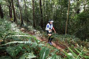 BIB: 
                            <button type="button" onclick="openModal(22561275)" class="btn btn-primary btn-sm float-right btn-popup" data-toggle="modal" data-target=".modal-high-quality">
                        <i class="fas fa-shopping-cart"></i> Add to Cart
                    </button>
                                            <button type="button" onclick="isThisMe(22561275, true)" class="btn btn-success btn-sm float-right btn-popup btn-isme hidden" data-toggle="tooltip" data-placement="bottom" title="นี่คือรูปของคุณใช่ไหม คลิกที่นี่เพื่อเอาเข้าอัลบั้ม">
                        <i class="fas fa-plus"></i> Add to album
                    </button>
                    <button type="button" onclick="isThisMe(22561275, false)" class="btn btn-warning btn-sm float-right btn-popup btn-isnotme hidden">
                        <i class="fas fa-ban"></i> Remove from album
                    </button>