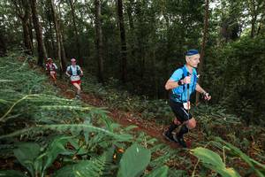 BIB: 
                            <button type="button" onclick="openModal(22536665)" class="btn btn-primary btn-sm float-right btn-popup" data-toggle="modal" data-target=".modal-high-quality">
                        <i class="fas fa-shopping-cart"></i> Add to Cart
                    </button>
                                            <button type="button" onclick="isThisMe(22536665, true)" class="btn btn-success btn-sm float-right btn-popup btn-isme hidden" data-toggle="tooltip" data-placement="bottom" title="นี่คือรูปของคุณใช่ไหม คลิกที่นี่เพื่อเอาเข้าอัลบั้ม">
                        <i class="fas fa-plus"></i> Add to album
                    </button>
                    <button type="button" onclick="isThisMe(22536665, false)" class="btn btn-warning btn-sm float-right btn-popup btn-isnotme hidden">
                        <i class="fas fa-ban"></i> Remove from album
                    </button>