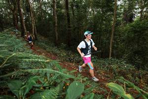 BIB: 
                            <button type="button" onclick="openModal(22533861)" class="btn btn-primary btn-sm float-right btn-popup" data-toggle="modal" data-target=".modal-high-quality">
                        <i class="fas fa-shopping-cart"></i> Add to Cart
                    </button>
                                            <button type="button" onclick="isThisMe(22533861, true)" class="btn btn-success btn-sm float-right btn-popup btn-isme hidden" data-toggle="tooltip" data-placement="bottom" title="นี่คือรูปของคุณใช่ไหม คลิกที่นี่เพื่อเอาเข้าอัลบั้ม">
                        <i class="fas fa-plus"></i> Add to album
                    </button>
                    <button type="button" onclick="isThisMe(22533861, false)" class="btn btn-warning btn-sm float-right btn-popup btn-isnotme hidden">
                        <i class="fas fa-ban"></i> Remove from album
                    </button>