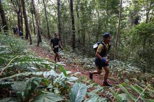 BIB: 
                            <button type="button" onclick="openModal(22564892)" class="btn btn-primary btn-sm float-right btn-popup" data-toggle="modal" data-target=".modal-high-quality">
                        <i class="fas fa-shopping-cart"></i> Add to Cart
                    </button>
                                            <button type="button" onclick="isThisMe(22564892, true)" class="btn btn-success btn-sm float-right btn-popup btn-isme hidden" data-toggle="tooltip" data-placement="bottom" title="นี่คือรูปของคุณใช่ไหม คลิกที่นี่เพื่อเอาเข้าอัลบั้ม">
                        <i class="fas fa-plus"></i> Add to album
                    </button>
                    <button type="button" onclick="isThisMe(22564892, false)" class="btn btn-warning btn-sm float-right btn-popup btn-isnotme hidden">
                        <i class="fas fa-ban"></i> Remove from album
                    </button>