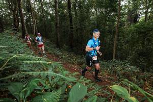 BIB: 
                            <button type="button" onclick="openModal(22536657)" class="btn btn-primary btn-sm float-right btn-popup" data-toggle="modal" data-target=".modal-high-quality">
                        <i class="fas fa-shopping-cart"></i> Add to Cart
                    </button>
                                            <button type="button" onclick="isThisMe(22536657, true)" class="btn btn-success btn-sm float-right btn-popup btn-isme hidden" data-toggle="tooltip" data-placement="bottom" title="นี่คือรูปของคุณใช่ไหม คลิกที่นี่เพื่อเอาเข้าอัลบั้ม">
                        <i class="fas fa-plus"></i> Add to album
                    </button>
                    <button type="button" onclick="isThisMe(22536657, false)" class="btn btn-warning btn-sm float-right btn-popup btn-isnotme hidden">
                        <i class="fas fa-ban"></i> Remove from album
                    </button>