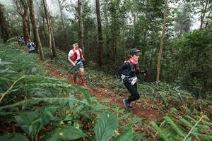 BIB: 
                            <button type="button" onclick="openModal(22572070)" class="btn btn-primary btn-sm float-right btn-popup" data-toggle="modal" data-target=".modal-high-quality">
                        <i class="fas fa-shopping-cart"></i> Add to Cart
                    </button>
                                            <button type="button" onclick="isThisMe(22572070, true)" class="btn btn-success btn-sm float-right btn-popup btn-isme hidden" data-toggle="tooltip" data-placement="bottom" title="นี่คือรูปของคุณใช่ไหม คลิกที่นี่เพื่อเอาเข้าอัลบั้ม">
                        <i class="fas fa-plus"></i> Add to album
                    </button>
                    <button type="button" onclick="isThisMe(22572070, false)" class="btn btn-warning btn-sm float-right btn-popup btn-isnotme hidden">
                        <i class="fas fa-ban"></i> Remove from album
                    </button>