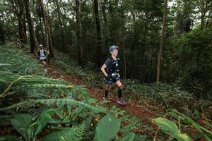 BIB: 
                            <button type="button" onclick="openModal(22537323)" class="btn btn-primary btn-sm float-right btn-popup" data-toggle="modal" data-target=".modal-high-quality">
                        <i class="fas fa-shopping-cart"></i> Add to Cart
                    </button>
                                            <button type="button" onclick="isThisMe(22537323, true)" class="btn btn-success btn-sm float-right btn-popup btn-isme hidden" data-toggle="tooltip" data-placement="bottom" title="นี่คือรูปของคุณใช่ไหม คลิกที่นี่เพื่อเอาเข้าอัลบั้ม">
                        <i class="fas fa-plus"></i> Add to album
                    </button>
                    <button type="button" onclick="isThisMe(22537323, false)" class="btn btn-warning btn-sm float-right btn-popup btn-isnotme hidden">
                        <i class="fas fa-ban"></i> Remove from album
                    </button>