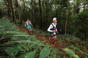 BIB: 
                            <button type="button" onclick="openModal(22533949)" class="btn btn-primary btn-sm float-right btn-popup" data-toggle="modal" data-target=".modal-high-quality">
                        <i class="fas fa-shopping-cart"></i> Add to Cart
                    </button>
                                            <button type="button" onclick="isThisMe(22533949, true)" class="btn btn-success btn-sm float-right btn-popup btn-isme hidden" data-toggle="tooltip" data-placement="bottom" title="นี่คือรูปของคุณใช่ไหม คลิกที่นี่เพื่อเอาเข้าอัลบั้ม">
                        <i class="fas fa-plus"></i> Add to album
                    </button>
                    <button type="button" onclick="isThisMe(22533949, false)" class="btn btn-warning btn-sm float-right btn-popup btn-isnotme hidden">
                        <i class="fas fa-ban"></i> Remove from album
                    </button>