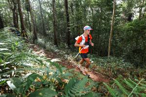 BIB: 
                            <button type="button" onclick="openModal(22545328)" class="btn btn-primary btn-sm float-right btn-popup" data-toggle="modal" data-target=".modal-high-quality">
                        <i class="fas fa-shopping-cart"></i> Add to Cart
                    </button>
                                            <button type="button" onclick="isThisMe(22545328, true)" class="btn btn-success btn-sm float-right btn-popup btn-isme hidden" data-toggle="tooltip" data-placement="bottom" title="นี่คือรูปของคุณใช่ไหม คลิกที่นี่เพื่อเอาเข้าอัลบั้ม">
                        <i class="fas fa-plus"></i> Add to album
                    </button>
                    <button type="button" onclick="isThisMe(22545328, false)" class="btn btn-warning btn-sm float-right btn-popup btn-isnotme hidden">
                        <i class="fas fa-ban"></i> Remove from album
                    </button>