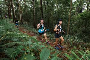 BIB: 
                            <button type="button" onclick="openModal(22584583)" class="btn btn-primary btn-sm float-right btn-popup" data-toggle="modal" data-target=".modal-high-quality">
                        <i class="fas fa-shopping-cart"></i> Add to Cart
                    </button>
                                            <button type="button" onclick="isThisMe(22584583, true)" class="btn btn-success btn-sm float-right btn-popup btn-isme hidden" data-toggle="tooltip" data-placement="bottom" title="นี่คือรูปของคุณใช่ไหม คลิกที่นี่เพื่อเอาเข้าอัลบั้ม">
                        <i class="fas fa-plus"></i> Add to album
                    </button>
                    <button type="button" onclick="isThisMe(22584583, false)" class="btn btn-warning btn-sm float-right btn-popup btn-isnotme hidden">
                        <i class="fas fa-ban"></i> Remove from album
                    </button>