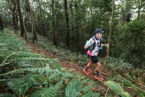 BIB: 
                            <button type="button" onclick="openModal(22542870)" class="btn btn-primary btn-sm float-right btn-popup" data-toggle="modal" data-target=".modal-high-quality">
                        <i class="fas fa-shopping-cart"></i> Add to Cart
                    </button>
                                            <button type="button" onclick="isThisMe(22542870, true)" class="btn btn-success btn-sm float-right btn-popup btn-isme hidden" data-toggle="tooltip" data-placement="bottom" title="นี่คือรูปของคุณใช่ไหม คลิกที่นี่เพื่อเอาเข้าอัลบั้ม">
                        <i class="fas fa-plus"></i> Add to album
                    </button>
                    <button type="button" onclick="isThisMe(22542870, false)" class="btn btn-warning btn-sm float-right btn-popup btn-isnotme hidden">
                        <i class="fas fa-ban"></i> Remove from album
                    </button>