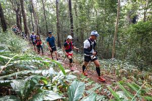 BIB: 
                            <button type="button" onclick="openModal(22565515)" class="btn btn-primary btn-sm float-right btn-popup" data-toggle="modal" data-target=".modal-high-quality">
                        <i class="fas fa-shopping-cart"></i> Add to Cart
                    </button>
                                            <button type="button" onclick="isThisMe(22565515, true)" class="btn btn-success btn-sm float-right btn-popup btn-isme hidden" data-toggle="tooltip" data-placement="bottom" title="นี่คือรูปของคุณใช่ไหม คลิกที่นี่เพื่อเอาเข้าอัลบั้ม">
                        <i class="fas fa-plus"></i> Add to album
                    </button>
                    <button type="button" onclick="isThisMe(22565515, false)" class="btn btn-warning btn-sm float-right btn-popup btn-isnotme hidden">
                        <i class="fas fa-ban"></i> Remove from album
                    </button>