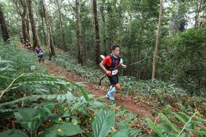 BIB: 
                            <button type="button" onclick="openModal(22574930)" class="btn btn-primary btn-sm float-right btn-popup" data-toggle="modal" data-target=".modal-high-quality">
                        <i class="fas fa-shopping-cart"></i> Add to Cart
                    </button>
                                            <button type="button" onclick="isThisMe(22574930, true)" class="btn btn-success btn-sm float-right btn-popup btn-isme hidden" data-toggle="tooltip" data-placement="bottom" title="นี่คือรูปของคุณใช่ไหม คลิกที่นี่เพื่อเอาเข้าอัลบั้ม">
                        <i class="fas fa-plus"></i> Add to album
                    </button>
                    <button type="button" onclick="isThisMe(22574930, false)" class="btn btn-warning btn-sm float-right btn-popup btn-isnotme hidden">
                        <i class="fas fa-ban"></i> Remove from album
                    </button>