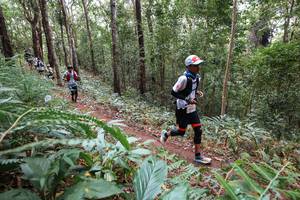 BIB: 
                            <button type="button" onclick="openModal(22566775)" class="btn btn-primary btn-sm float-right btn-popup" data-toggle="modal" data-target=".modal-high-quality">
                        <i class="fas fa-shopping-cart"></i> Add to Cart
                    </button>
                                            <button type="button" onclick="isThisMe(22566775, true)" class="btn btn-success btn-sm float-right btn-popup btn-isme hidden" data-toggle="tooltip" data-placement="bottom" title="นี่คือรูปของคุณใช่ไหม คลิกที่นี่เพื่อเอาเข้าอัลบั้ม">
                        <i class="fas fa-plus"></i> Add to album
                    </button>
                    <button type="button" onclick="isThisMe(22566775, false)" class="btn btn-warning btn-sm float-right btn-popup btn-isnotme hidden">
                        <i class="fas fa-ban"></i> Remove from album
                    </button>