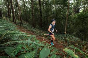 BIB: 
                            <button type="button" onclick="openModal(22535297)" class="btn btn-primary btn-sm float-right btn-popup" data-toggle="modal" data-target=".modal-high-quality">
                        <i class="fas fa-shopping-cart"></i> Add to Cart
                    </button>
                                            <button type="button" onclick="isThisMe(22535297, true)" class="btn btn-success btn-sm float-right btn-popup btn-isme hidden" data-toggle="tooltip" data-placement="bottom" title="นี่คือรูปของคุณใช่ไหม คลิกที่นี่เพื่อเอาเข้าอัลบั้ม">
                        <i class="fas fa-plus"></i> Add to album
                    </button>
                    <button type="button" onclick="isThisMe(22535297, false)" class="btn btn-warning btn-sm float-right btn-popup btn-isnotme hidden">
                        <i class="fas fa-ban"></i> Remove from album
                    </button>