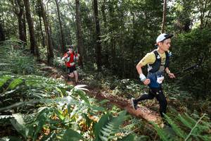 BIB: 
                            <button type="button" onclick="openModal(22544396)" class="btn btn-primary btn-sm float-right btn-popup" data-toggle="modal" data-target=".modal-high-quality">
                        <i class="fas fa-shopping-cart"></i> Add to Cart
                    </button>
                                            <button type="button" onclick="isThisMe(22544396, true)" class="btn btn-success btn-sm float-right btn-popup btn-isme hidden" data-toggle="tooltip" data-placement="bottom" title="นี่คือรูปของคุณใช่ไหม คลิกที่นี่เพื่อเอาเข้าอัลบั้ม">
                        <i class="fas fa-plus"></i> Add to album
                    </button>
                    <button type="button" onclick="isThisMe(22544396, false)" class="btn btn-warning btn-sm float-right btn-popup btn-isnotme hidden">
                        <i class="fas fa-ban"></i> Remove from album
                    </button>