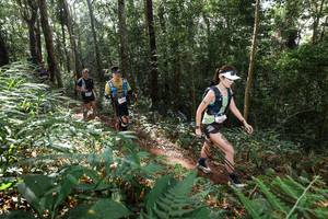 BIB: 
                            <button type="button" onclick="openModal(22546170)" class="btn btn-primary btn-sm float-right btn-popup" data-toggle="modal" data-target=".modal-high-quality">
                        <i class="fas fa-shopping-cart"></i> Add to Cart
                    </button>
                                            <button type="button" onclick="isThisMe(22546170, true)" class="btn btn-success btn-sm float-right btn-popup btn-isme hidden" data-toggle="tooltip" data-placement="bottom" title="นี่คือรูปของคุณใช่ไหม คลิกที่นี่เพื่อเอาเข้าอัลบั้ม">
                        <i class="fas fa-plus"></i> Add to album
                    </button>
                    <button type="button" onclick="isThisMe(22546170, false)" class="btn btn-warning btn-sm float-right btn-popup btn-isnotme hidden">
                        <i class="fas fa-ban"></i> Remove from album
                    </button>