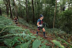 BIB: 
                            <button type="button" onclick="openModal(22541859)" class="btn btn-primary btn-sm float-right btn-popup" data-toggle="modal" data-target=".modal-high-quality">
                        <i class="fas fa-shopping-cart"></i> Add to Cart
                    </button>
                                            <button type="button" onclick="isThisMe(22541859, true)" class="btn btn-success btn-sm float-right btn-popup btn-isme hidden" data-toggle="tooltip" data-placement="bottom" title="นี่คือรูปของคุณใช่ไหม คลิกที่นี่เพื่อเอาเข้าอัลบั้ม">
                        <i class="fas fa-plus"></i> Add to album
                    </button>
                    <button type="button" onclick="isThisMe(22541859, false)" class="btn btn-warning btn-sm float-right btn-popup btn-isnotme hidden">
                        <i class="fas fa-ban"></i> Remove from album
                    </button>