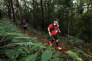 BIB: 
                            <button type="button" onclick="openModal(22536415)" class="btn btn-primary btn-sm float-right btn-popup" data-toggle="modal" data-target=".modal-high-quality">
                        <i class="fas fa-shopping-cart"></i> Add to Cart
                    </button>
                                            <button type="button" onclick="isThisMe(22536415, true)" class="btn btn-success btn-sm float-right btn-popup btn-isme hidden" data-toggle="tooltip" data-placement="bottom" title="นี่คือรูปของคุณใช่ไหม คลิกที่นี่เพื่อเอาเข้าอัลบั้ม">
                        <i class="fas fa-plus"></i> Add to album
                    </button>
                    <button type="button" onclick="isThisMe(22536415, false)" class="btn btn-warning btn-sm float-right btn-popup btn-isnotme hidden">
                        <i class="fas fa-ban"></i> Remove from album
                    </button>