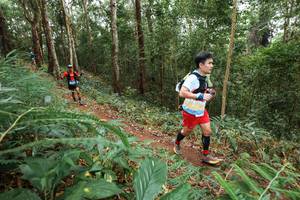 BIB: 
                            <button type="button" onclick="openModal(22570722)" class="btn btn-primary btn-sm float-right btn-popup" data-toggle="modal" data-target=".modal-high-quality">
                        <i class="fas fa-shopping-cart"></i> Add to Cart
                    </button>
                                            <button type="button" onclick="isThisMe(22570722, true)" class="btn btn-success btn-sm float-right btn-popup btn-isme hidden" data-toggle="tooltip" data-placement="bottom" title="นี่คือรูปของคุณใช่ไหม คลิกที่นี่เพื่อเอาเข้าอัลบั้ม">
                        <i class="fas fa-plus"></i> Add to album
                    </button>
                    <button type="button" onclick="isThisMe(22570722, false)" class="btn btn-warning btn-sm float-right btn-popup btn-isnotme hidden">
                        <i class="fas fa-ban"></i> Remove from album
                    </button>