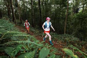 BIB: 
                            <button type="button" onclick="openModal(22536686)" class="btn btn-primary btn-sm float-right btn-popup" data-toggle="modal" data-target=".modal-high-quality">
                        <i class="fas fa-shopping-cart"></i> Add to Cart
                    </button>
                                            <button type="button" onclick="isThisMe(22536686, true)" class="btn btn-success btn-sm float-right btn-popup btn-isme hidden" data-toggle="tooltip" data-placement="bottom" title="นี่คือรูปของคุณใช่ไหม คลิกที่นี่เพื่อเอาเข้าอัลบั้ม">
                        <i class="fas fa-plus"></i> Add to album
                    </button>
                    <button type="button" onclick="isThisMe(22536686, false)" class="btn btn-warning btn-sm float-right btn-popup btn-isnotme hidden">
                        <i class="fas fa-ban"></i> Remove from album
                    </button>