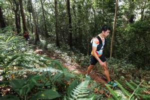 BIB: 
                            <button type="button" onclick="openModal(22546721)" class="btn btn-primary btn-sm float-right btn-popup" data-toggle="modal" data-target=".modal-high-quality">
                        <i class="fas fa-shopping-cart"></i> Add to Cart
                    </button>
                                            <button type="button" onclick="isThisMe(22546721, true)" class="btn btn-success btn-sm float-right btn-popup btn-isme hidden" data-toggle="tooltip" data-placement="bottom" title="นี่คือรูปของคุณใช่ไหม คลิกที่นี่เพื่อเอาเข้าอัลบั้ม">
                        <i class="fas fa-plus"></i> Add to album
                    </button>
                    <button type="button" onclick="isThisMe(22546721, false)" class="btn btn-warning btn-sm float-right btn-popup btn-isnotme hidden">
                        <i class="fas fa-ban"></i> Remove from album
                    </button>