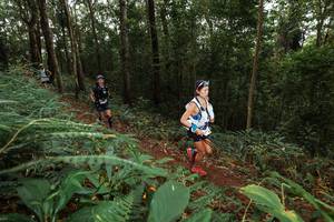 BIB: 
                            <button type="button" onclick="openModal(22537325)" class="btn btn-primary btn-sm float-right btn-popup" data-toggle="modal" data-target=".modal-high-quality">
                        <i class="fas fa-shopping-cart"></i> Add to Cart
                    </button>
                                            <button type="button" onclick="isThisMe(22537325, true)" class="btn btn-success btn-sm float-right btn-popup btn-isme hidden" data-toggle="tooltip" data-placement="bottom" title="นี่คือรูปของคุณใช่ไหม คลิกที่นี่เพื่อเอาเข้าอัลบั้ม">
                        <i class="fas fa-plus"></i> Add to album
                    </button>
                    <button type="button" onclick="isThisMe(22537325, false)" class="btn btn-warning btn-sm float-right btn-popup btn-isnotme hidden">
                        <i class="fas fa-ban"></i> Remove from album
                    </button>