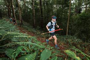 BIB: 
                            <button type="button" onclick="openModal(22533737)" class="btn btn-primary btn-sm float-right btn-popup" data-toggle="modal" data-target=".modal-high-quality">
                        <i class="fas fa-shopping-cart"></i> Add to Cart
                    </button>
                                            <button type="button" onclick="isThisMe(22533737, true)" class="btn btn-success btn-sm float-right btn-popup btn-isme hidden" data-toggle="tooltip" data-placement="bottom" title="นี่คือรูปของคุณใช่ไหม คลิกที่นี่เพื่อเอาเข้าอัลบั้ม">
                        <i class="fas fa-plus"></i> Add to album
                    </button>
                    <button type="button" onclick="isThisMe(22533737, false)" class="btn btn-warning btn-sm float-right btn-popup btn-isnotme hidden">
                        <i class="fas fa-ban"></i> Remove from album
                    </button>