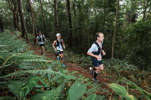 BIB: 
                            <button type="button" onclick="openModal(22532925)" class="btn btn-primary btn-sm float-right btn-popup" data-toggle="modal" data-target=".modal-high-quality">
                        <i class="fas fa-shopping-cart"></i> Add to Cart
                    </button>
                                            <button type="button" onclick="isThisMe(22532925, true)" class="btn btn-success btn-sm float-right btn-popup btn-isme hidden" data-toggle="tooltip" data-placement="bottom" title="นี่คือรูปของคุณใช่ไหม คลิกที่นี่เพื่อเอาเข้าอัลบั้ม">
                        <i class="fas fa-plus"></i> Add to album
                    </button>
                    <button type="button" onclick="isThisMe(22532925, false)" class="btn btn-warning btn-sm float-right btn-popup btn-isnotme hidden">
                        <i class="fas fa-ban"></i> Remove from album
                    </button>