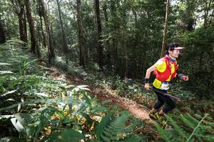 BIB: 
                            <button type="button" onclick="openModal(22544886)" class="btn btn-primary btn-sm float-right btn-popup" data-toggle="modal" data-target=".modal-high-quality">
                        <i class="fas fa-shopping-cart"></i> Add to Cart
                    </button>
                                            <button type="button" onclick="isThisMe(22544886, true)" class="btn btn-success btn-sm float-right btn-popup btn-isme hidden" data-toggle="tooltip" data-placement="bottom" title="นี่คือรูปของคุณใช่ไหม คลิกที่นี่เพื่อเอาเข้าอัลบั้ม">
                        <i class="fas fa-plus"></i> Add to album
                    </button>
                    <button type="button" onclick="isThisMe(22544886, false)" class="btn btn-warning btn-sm float-right btn-popup btn-isnotme hidden">
                        <i class="fas fa-ban"></i> Remove from album
                    </button>