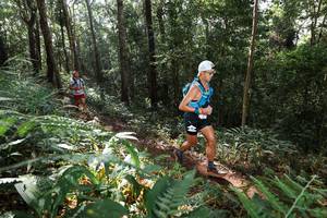 BIB: 
                            <button type="button" onclick="openModal(22544579)" class="btn btn-primary btn-sm float-right btn-popup" data-toggle="modal" data-target=".modal-high-quality">
                        <i class="fas fa-shopping-cart"></i> Add to Cart
                    </button>
                                            <button type="button" onclick="isThisMe(22544579, true)" class="btn btn-success btn-sm float-right btn-popup btn-isme hidden" data-toggle="tooltip" data-placement="bottom" title="นี่คือรูปของคุณใช่ไหม คลิกที่นี่เพื่อเอาเข้าอัลบั้ม">
                        <i class="fas fa-plus"></i> Add to album
                    </button>
                    <button type="button" onclick="isThisMe(22544579, false)" class="btn btn-warning btn-sm float-right btn-popup btn-isnotme hidden">
                        <i class="fas fa-ban"></i> Remove from album
                    </button>