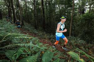 BIB: 
                            <button type="button" onclick="openModal(22542604)" class="btn btn-primary btn-sm float-right btn-popup" data-toggle="modal" data-target=".modal-high-quality">
                        <i class="fas fa-shopping-cart"></i> Add to Cart
                    </button>
                                            <button type="button" onclick="isThisMe(22542604, true)" class="btn btn-success btn-sm float-right btn-popup btn-isme hidden" data-toggle="tooltip" data-placement="bottom" title="นี่คือรูปของคุณใช่ไหม คลิกที่นี่เพื่อเอาเข้าอัลบั้ม">
                        <i class="fas fa-plus"></i> Add to album
                    </button>
                    <button type="button" onclick="isThisMe(22542604, false)" class="btn btn-warning btn-sm float-right btn-popup btn-isnotme hidden">
                        <i class="fas fa-ban"></i> Remove from album
                    </button>