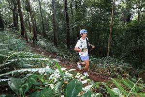 BIB: 
                            <button type="button" onclick="openModal(22543782)" class="btn btn-primary btn-sm float-right btn-popup" data-toggle="modal" data-target=".modal-high-quality">
                        <i class="fas fa-shopping-cart"></i> Add to Cart
                    </button>
                                            <button type="button" onclick="isThisMe(22543782, true)" class="btn btn-success btn-sm float-right btn-popup btn-isme hidden" data-toggle="tooltip" data-placement="bottom" title="นี่คือรูปของคุณใช่ไหม คลิกที่นี่เพื่อเอาเข้าอัลบั้ม">
                        <i class="fas fa-plus"></i> Add to album
                    </button>
                    <button type="button" onclick="isThisMe(22543782, false)" class="btn btn-warning btn-sm float-right btn-popup btn-isnotme hidden">
                        <i class="fas fa-ban"></i> Remove from album
                    </button>